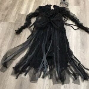 California Costumes Dark Princess Black Gown